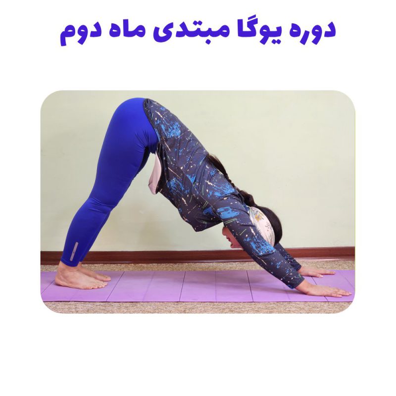 دوره یوگا مبتدی ماه دوم