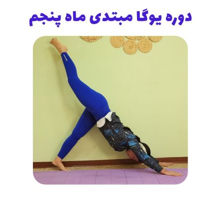 دوره یوگا مبتدی ماه پنجم
